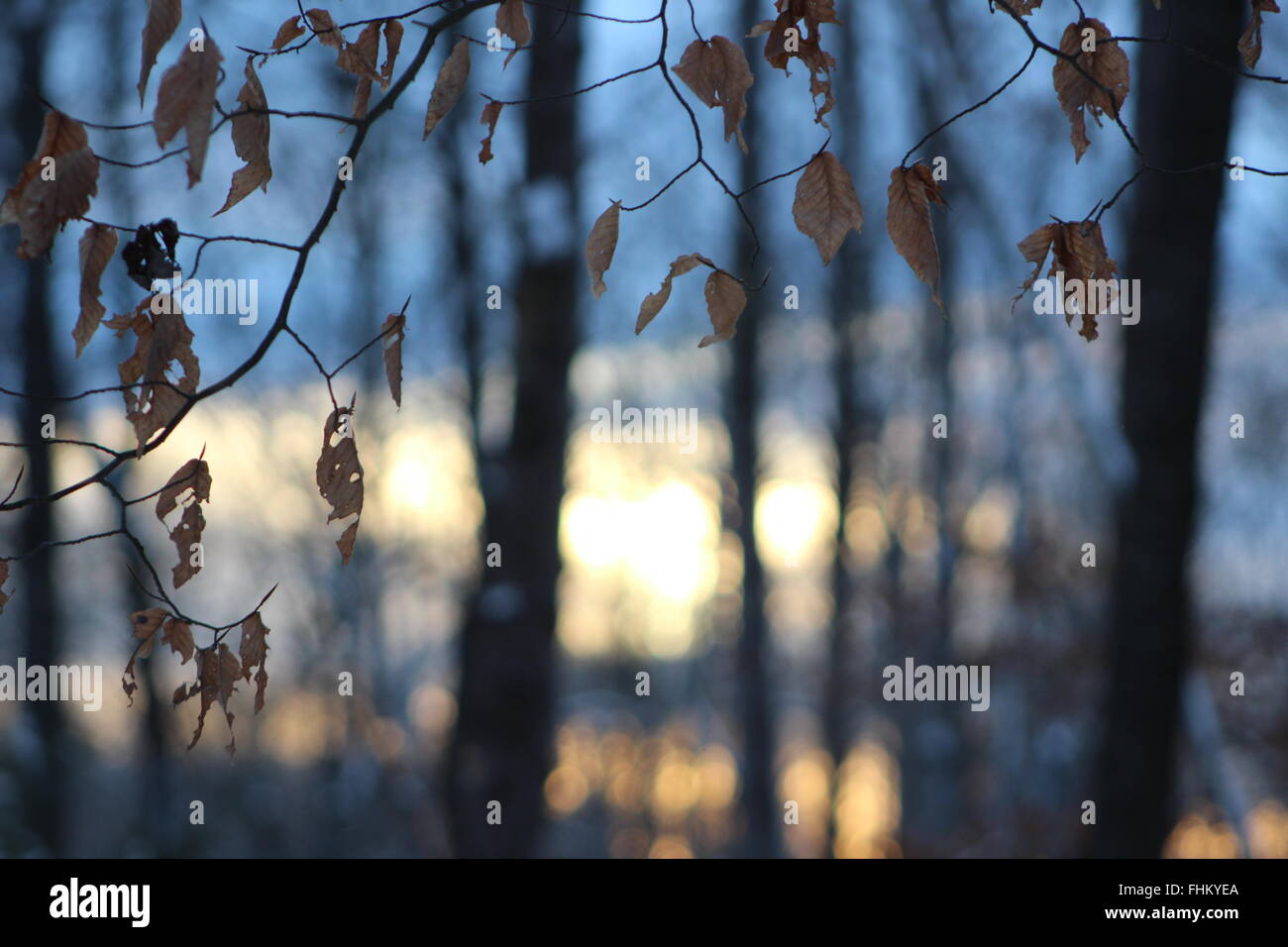 Nach dem Schneesturm Stockfoto