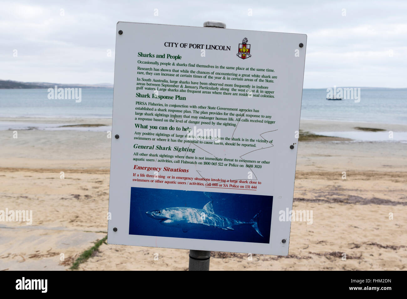 Hai-Warnschild am Strand in Port Lincoln, South Australia. Stockfoto
