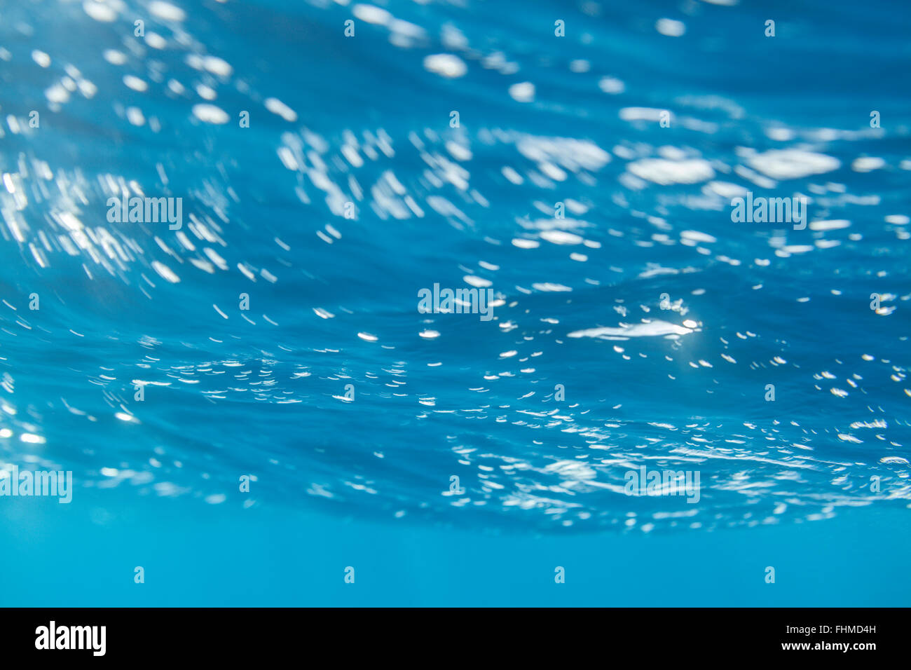 Welle, Rotes Meer, Sudan Stockfoto