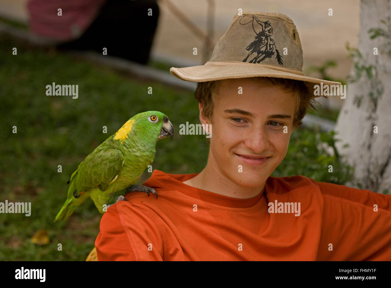 gelb-Himalaja-Papageien (Amazona Auropalliata), Costa Rica, Gefangener Vogel Stockfoto