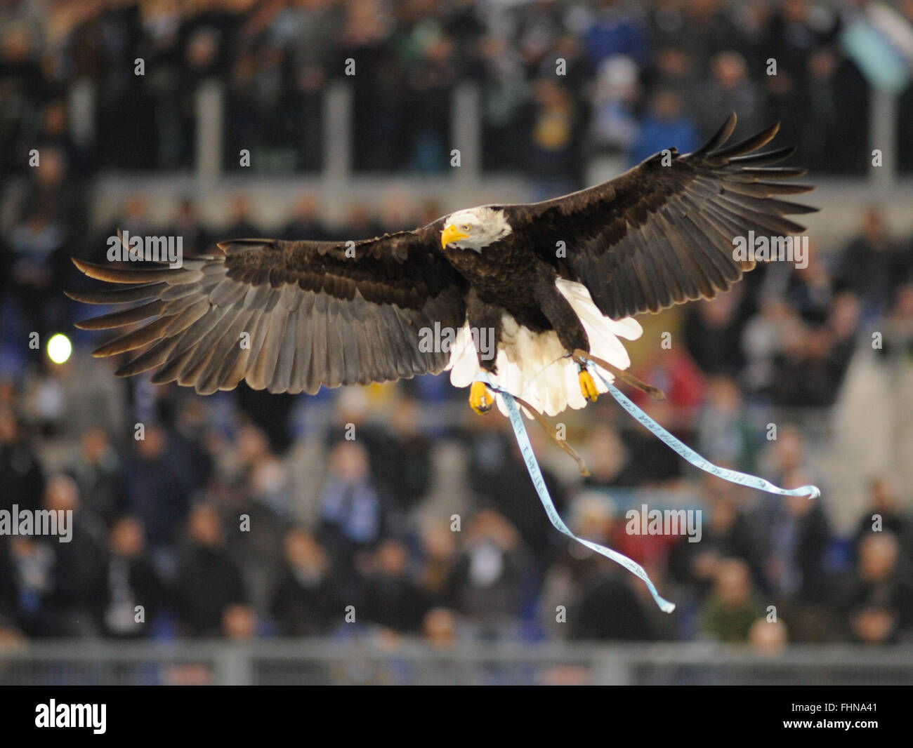 Stadio Olimpico, Rom, Italien. 25. Februar 2016. UEFA Europa League, Rückfahrt der SS Lazio gegen Galatasaray. Das Adler-Maskottchen von Lazio © Aktion Plus Sportbilder/Alamy Live News Credit: Action Plus Sport/Alamy Live News Stockfoto