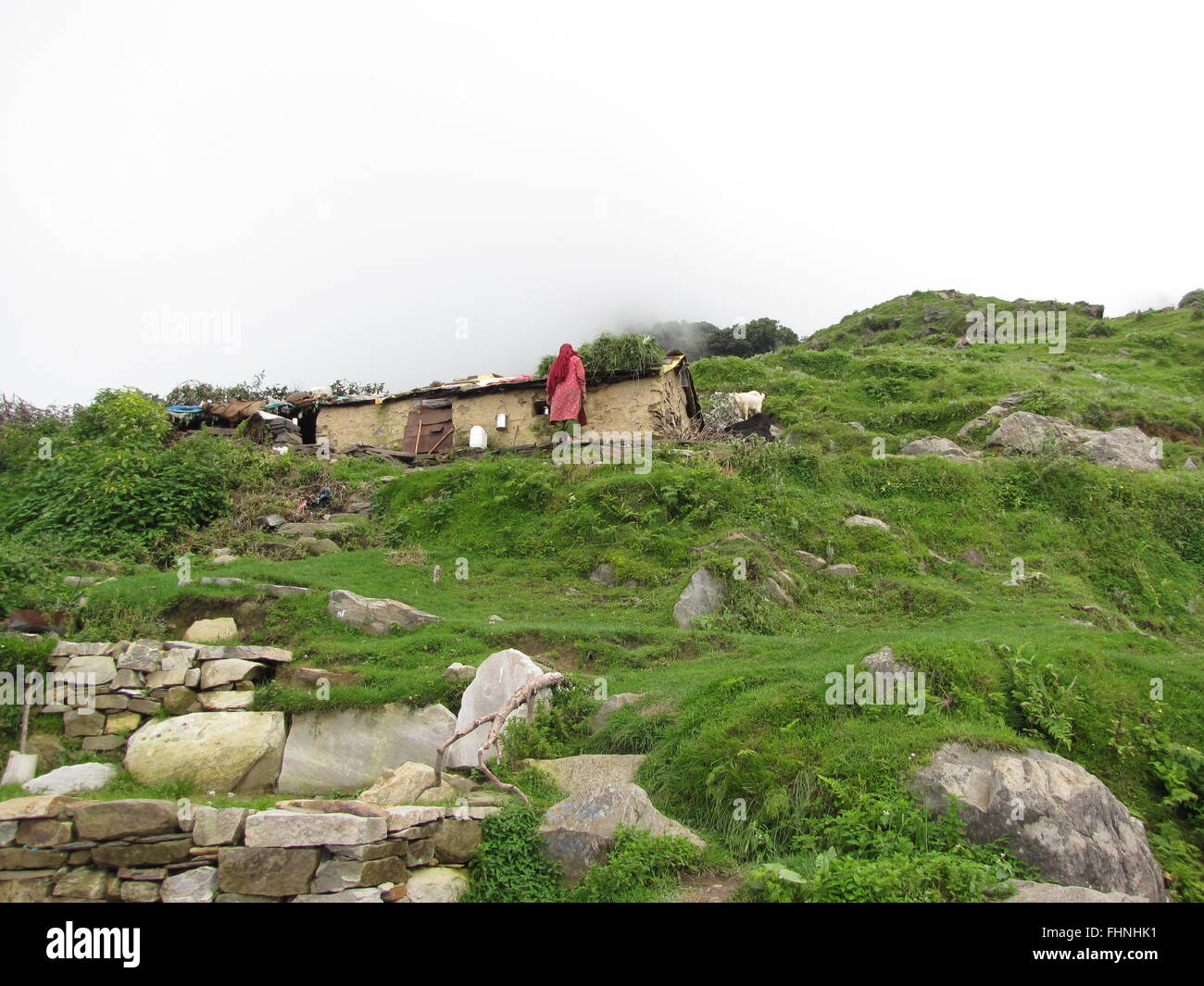 Frau in rosa Tracht vor kleinen Steinhütte in den Ausläufern des Himalaya Stockfoto