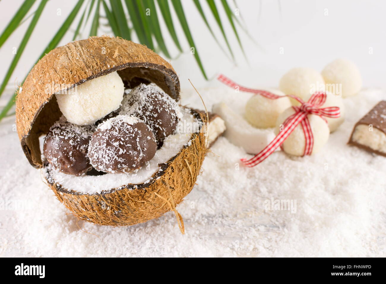 Frische Kokosnuss und hausgemachtes Kokosnuss-Cookies auf geerdeten Kokosnuss Stockfoto