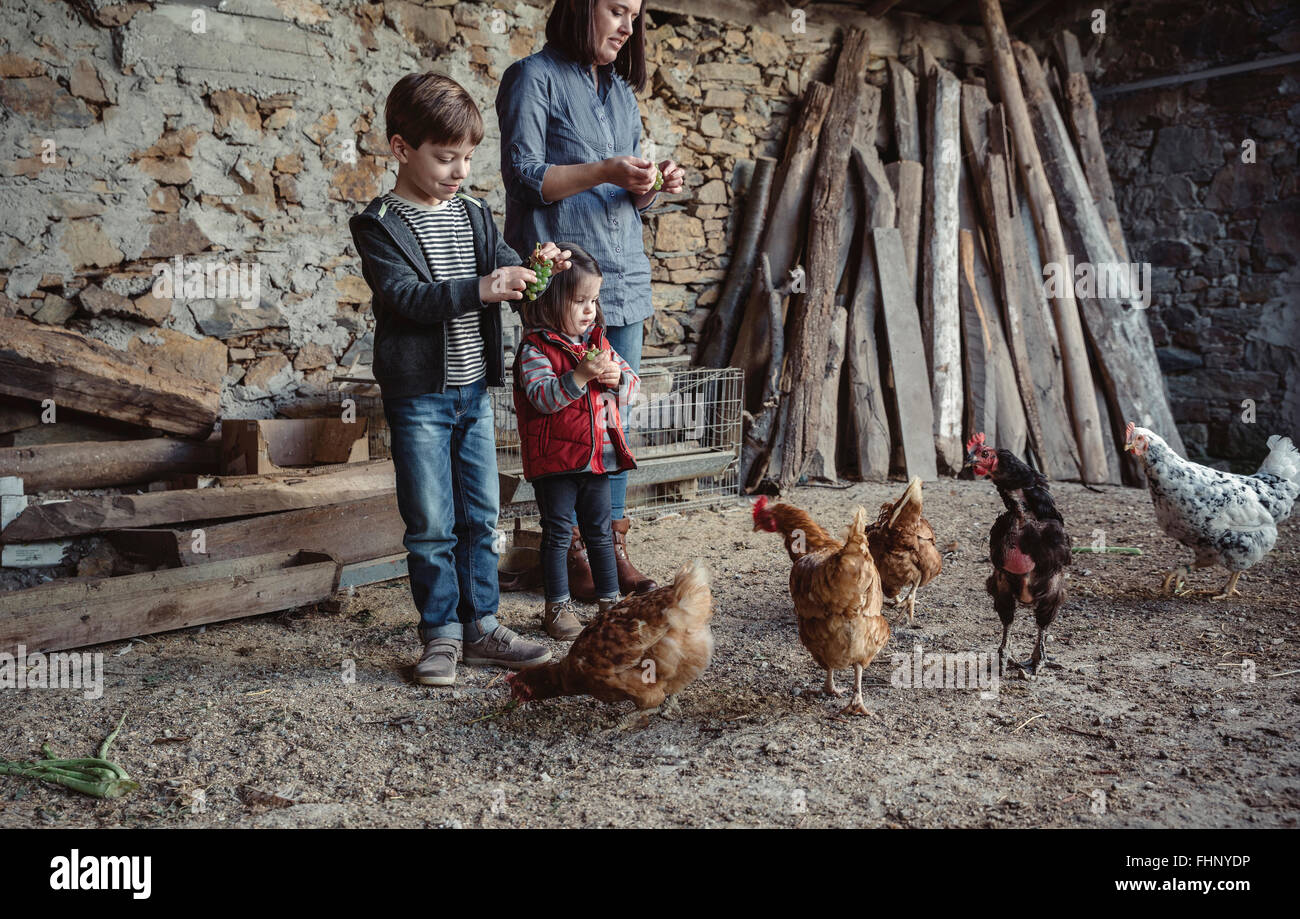 Frau und ihren Kindern füttern Hühner mit grünen Trauben in einem Bauernhof Hof Stockfoto