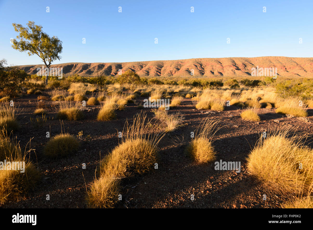 Blick auf den West MacDonnell Ranges, Northern Territory, NT, Australien Stockfoto