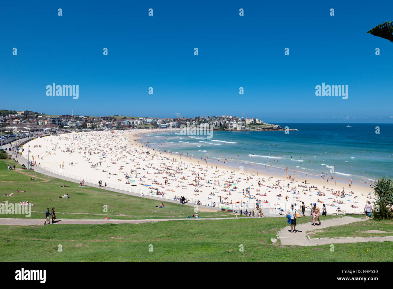 Sydneys berühmten Bondi Beach, an einem heißen Sommertag Stockfoto