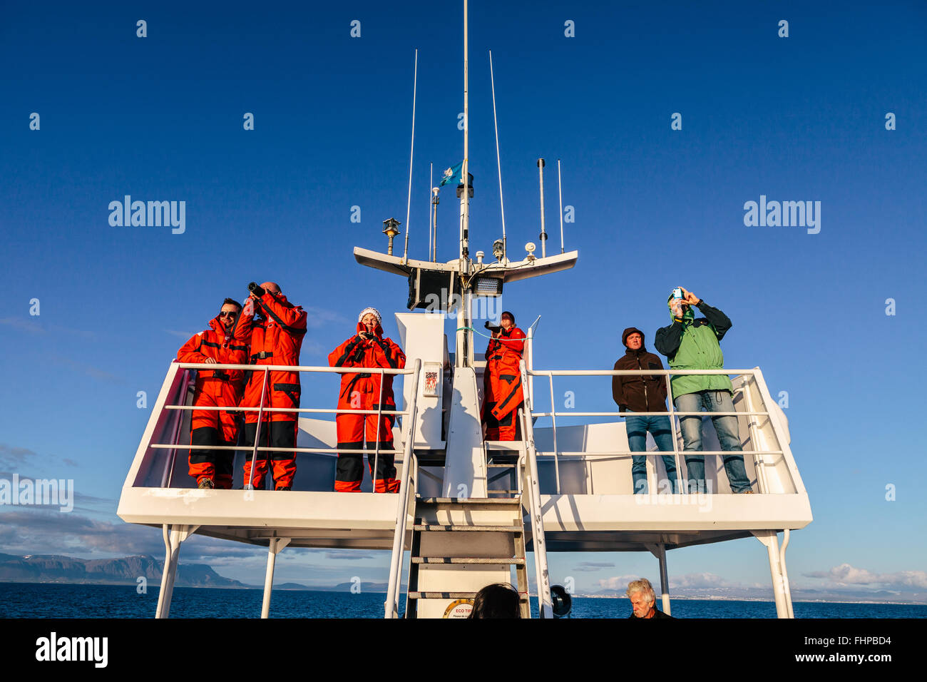 Whale Watching in Island Stockfoto