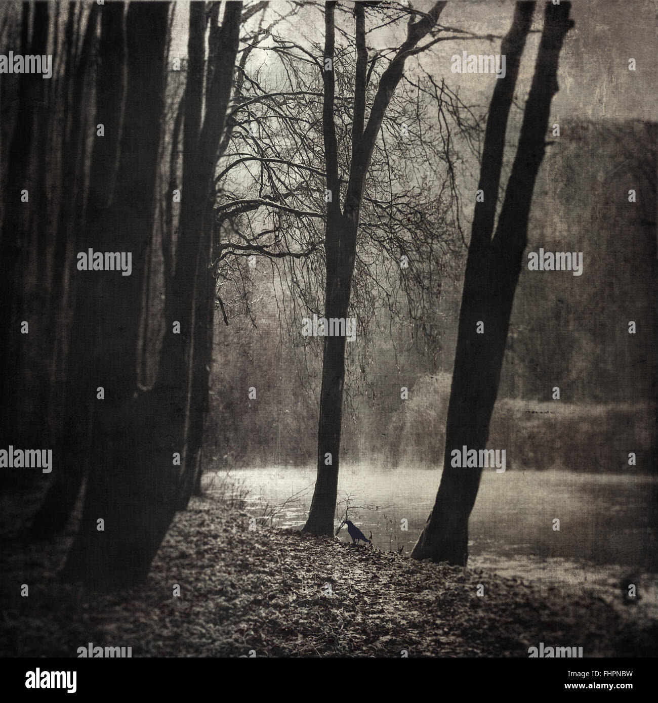 Deutschland, Morgennebel am Fluss Wupper Stockfoto