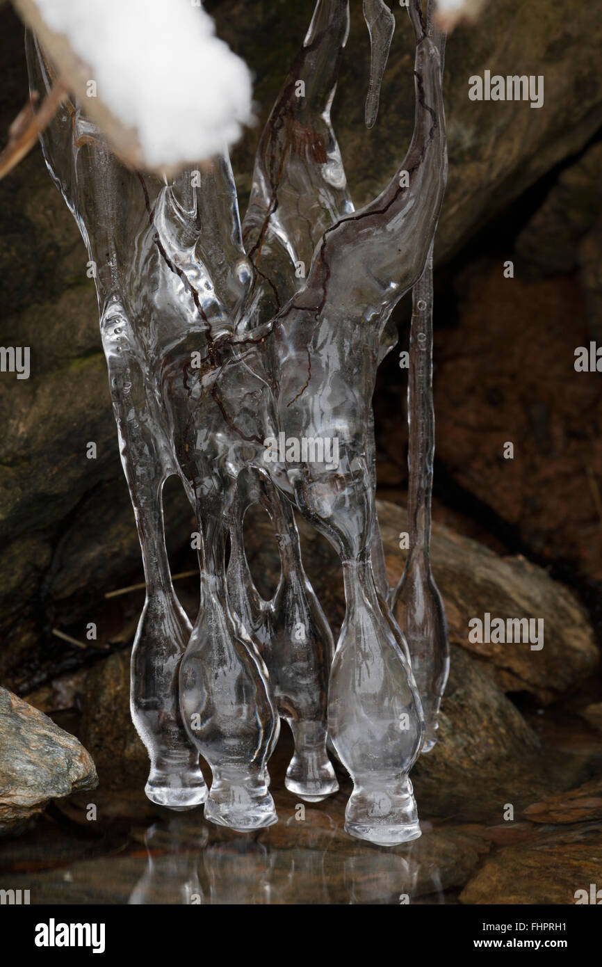 Eiszapfen am Seengebiet, Montgomery county Maryland, Washington DC Stockfoto