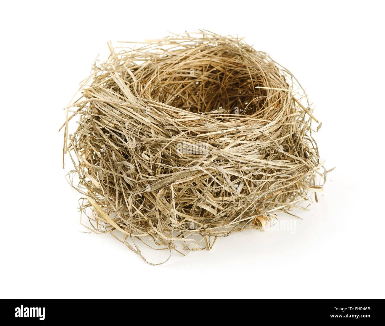 Leere Nest auf einem weißen Hintergrund isoliert Stockfoto