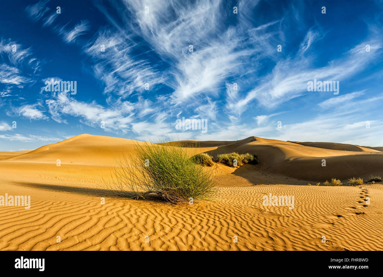 Sanddünen in der Wüste Stockfoto