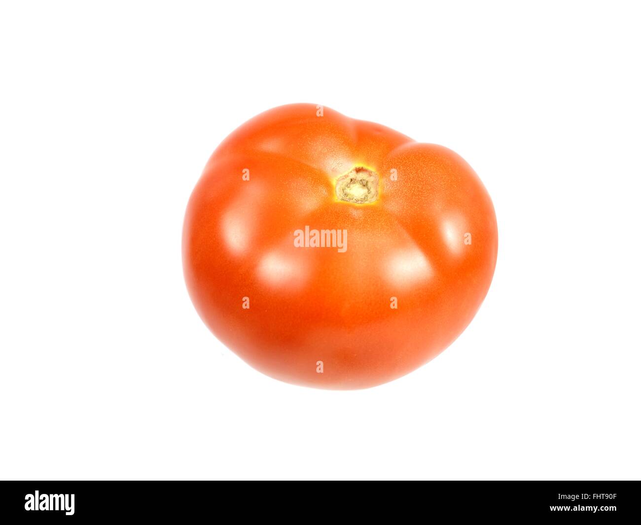 Eine Tomate Solated vor einem weißen Hintergrund Stockfoto