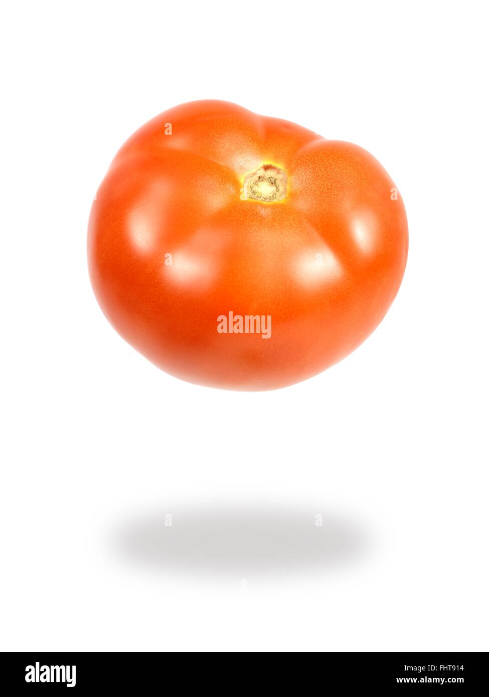 Eine Tomate Solated vor einem weißen Hintergrund Stockfoto