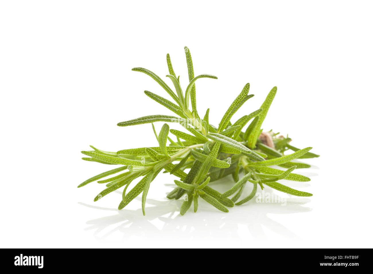 Rosmarin-Haufen isoliert. Stockfoto