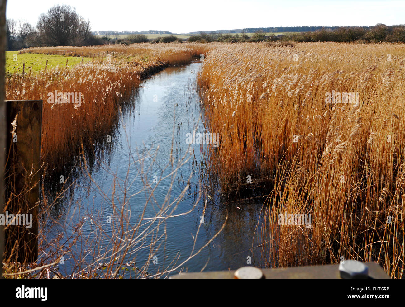 Ein Blick auf den Fluss brennen Mäandern durch Schilf flussabwärts von Burnham Overy Wassermühle, Norfolk, England, Vereinigtes Königreich. Stockfoto