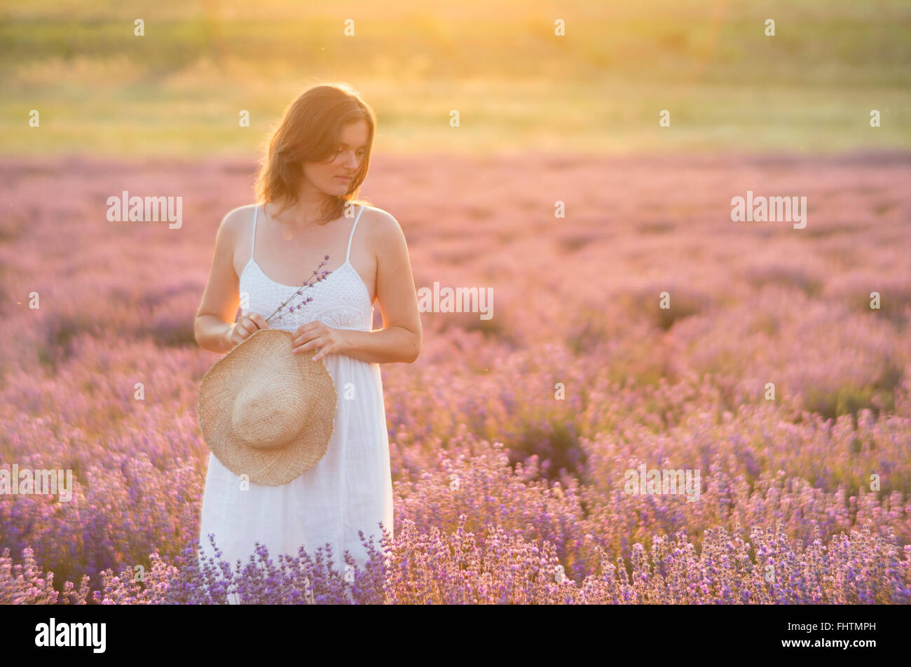 Schöne junge Frau trägt ein weißes Kleid steht in einem Moment der Ruhe und Gelassenheit in einem mitten in einem Lavendelfeld unter th Stockfoto