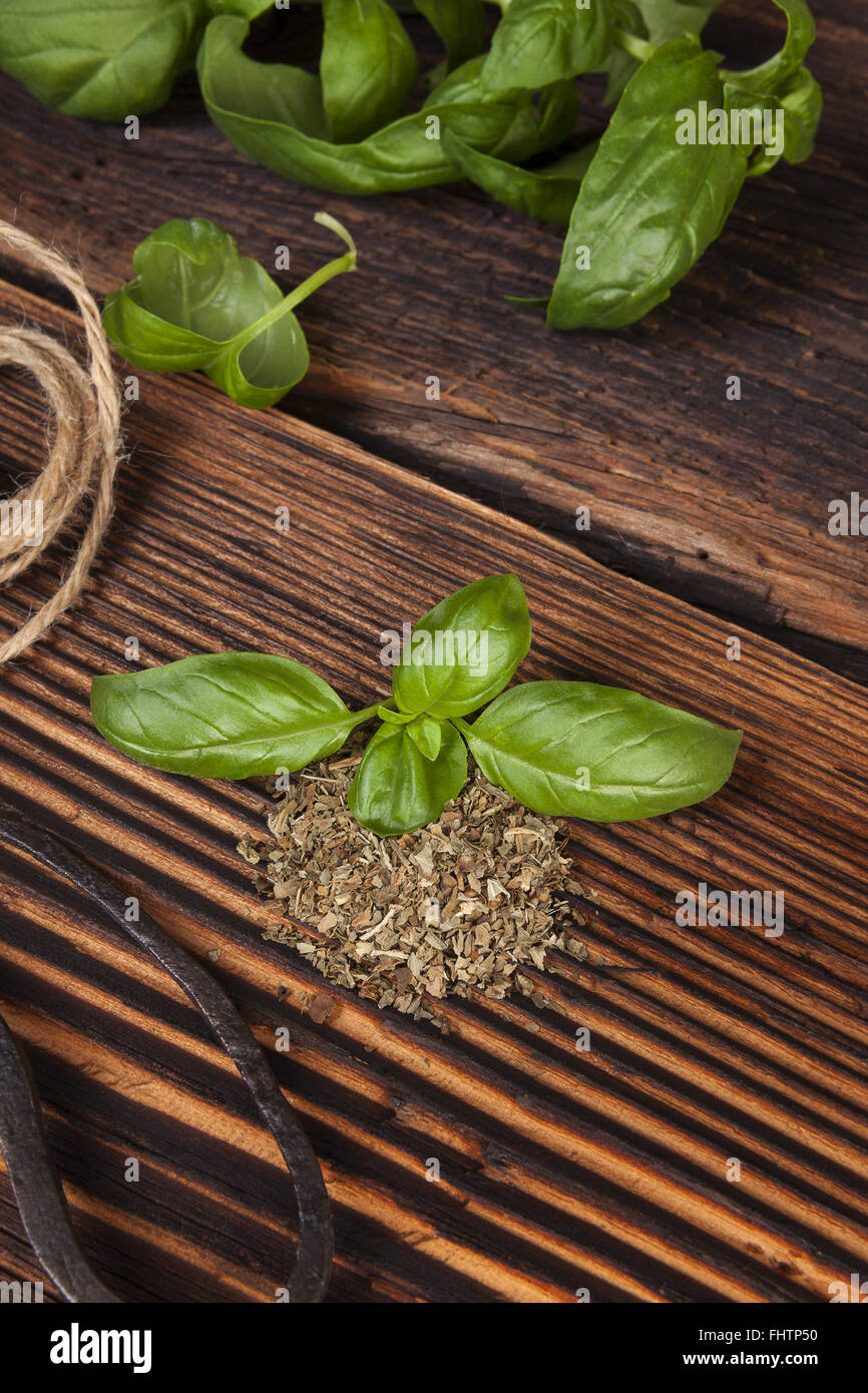 Aromatische Kräuter, Basilikum. Stockfoto