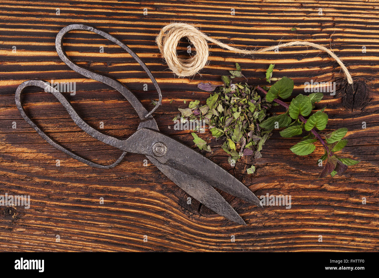 Frische und getrocknete Minze Kraut. Stockfoto