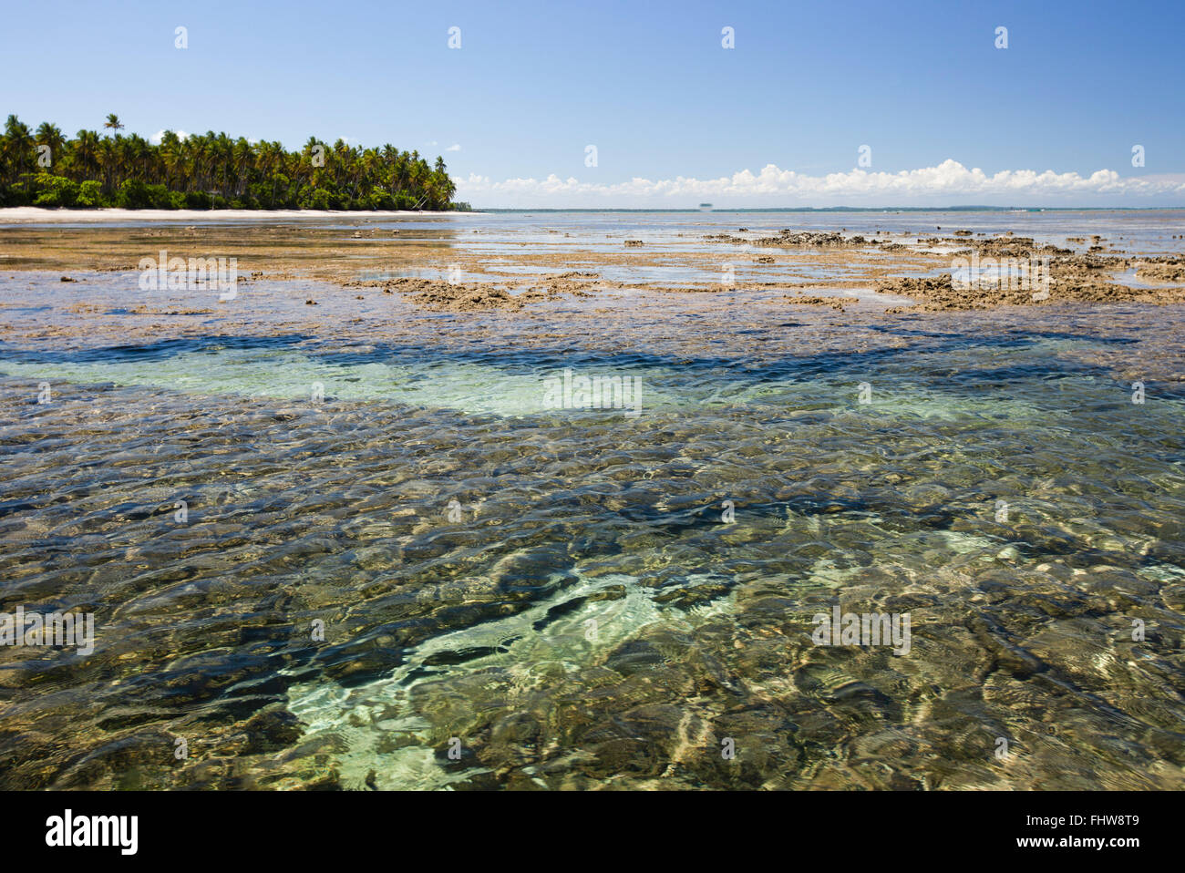Riffe in den natürlichen Pools in Morere - Boipeba - Archipel Tinhare Stockfoto
