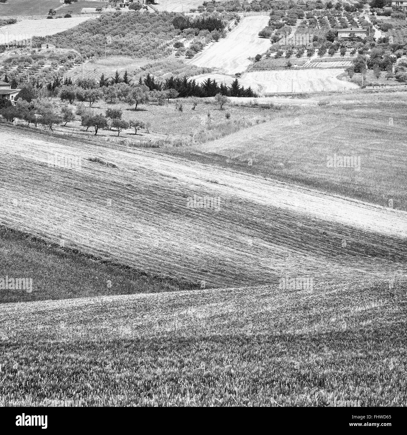 Stoppelfeldern Stockfoto