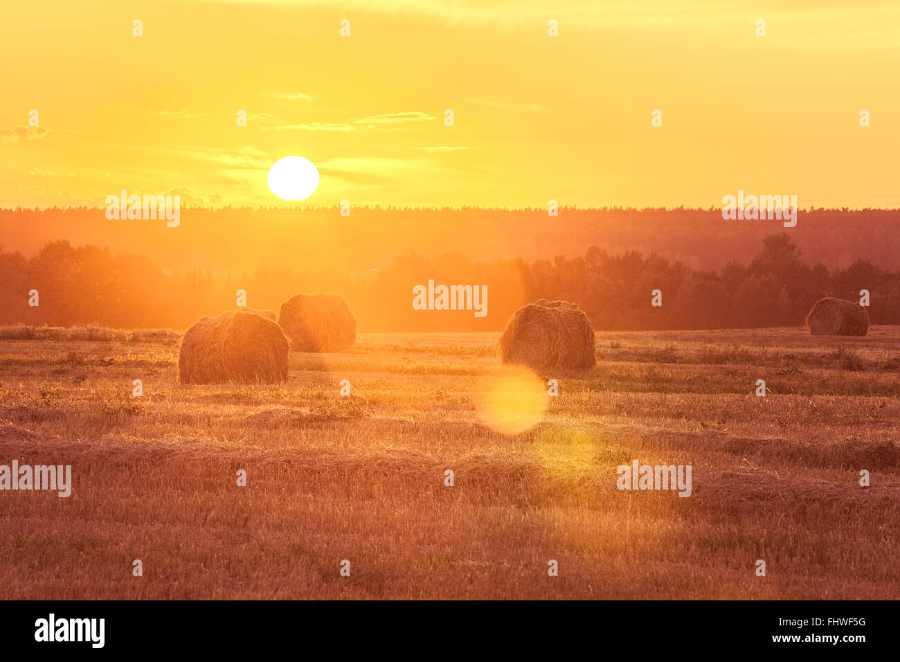 Sonnenuntergang Feld Landschaft mit Heuballen, Sonne und Lens flare Stockfoto