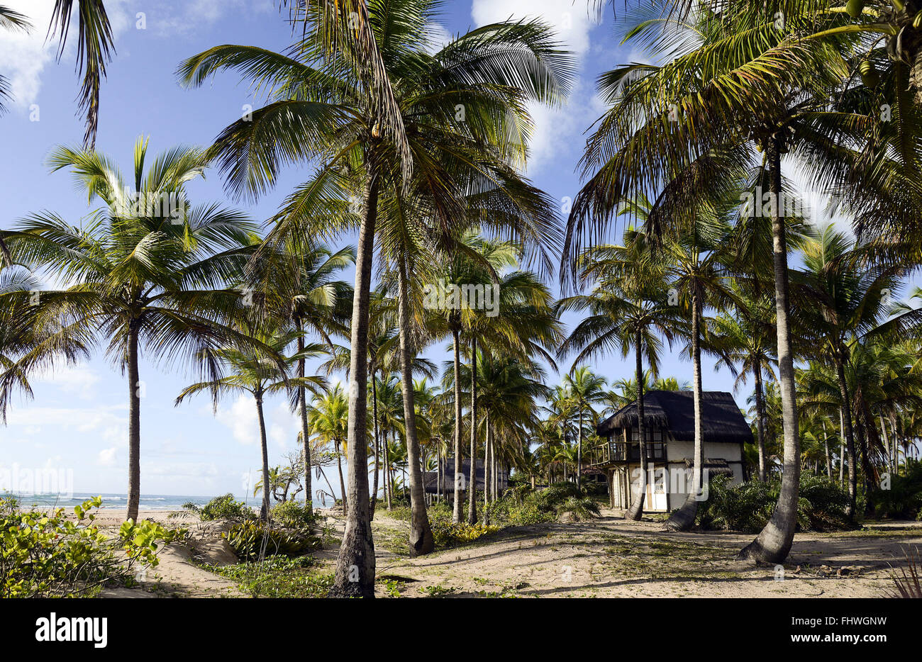 Haus und Palmen Bäume am Rande des Algodoes Beach - Halbinsel Marau Stockfoto