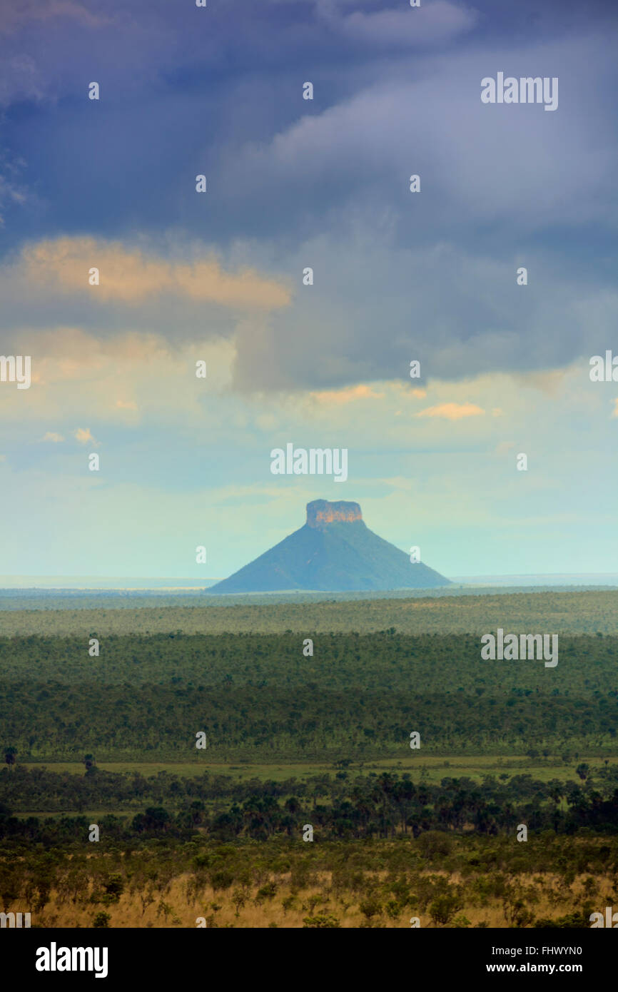 Cerrado Landschaft in Jalapao, Tocantins, im Inneren von Brasilien Stockfoto