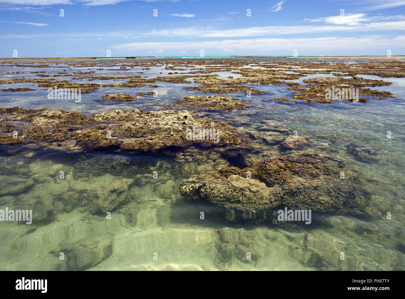 Naturpools gebildet auf den Riffen bei Ebbe Stockfoto