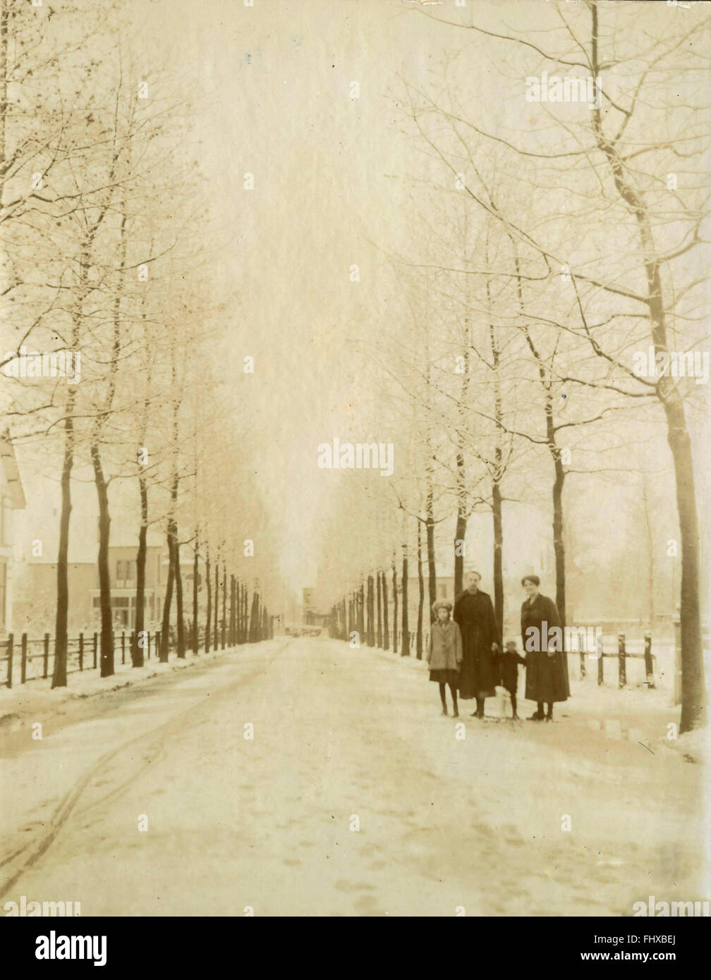 Auf der von Bäumen gesäumten Straße, Niederlande Stockfoto