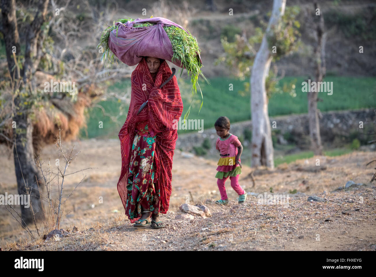 Frau mit Rasen auf dem Kopf im ländlichen Rajasthan, Indien Stockfoto