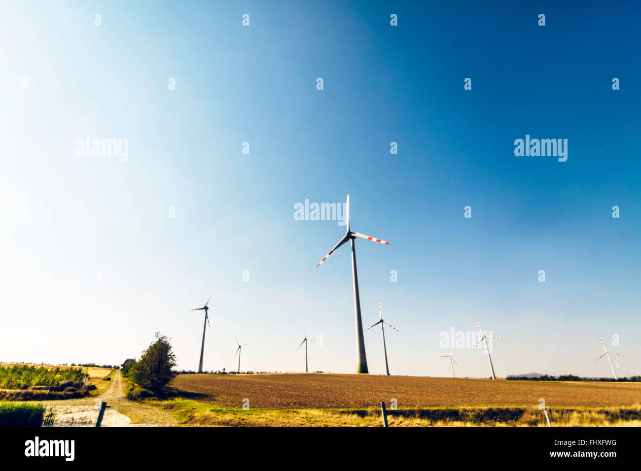 Windräder erzeugen sauberen Strom. Ökologie, Verhinderung der globalen Erwärmung Stockfoto