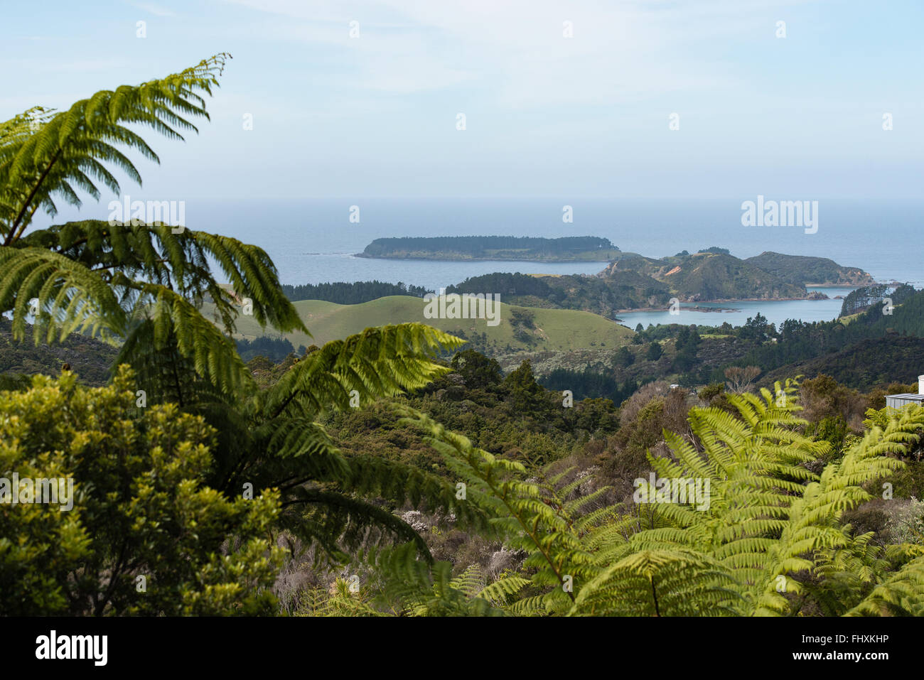Blick auf das Meer Ufer an der Ostseite von Northland, Nordinsel, Neuseeland Stockfoto