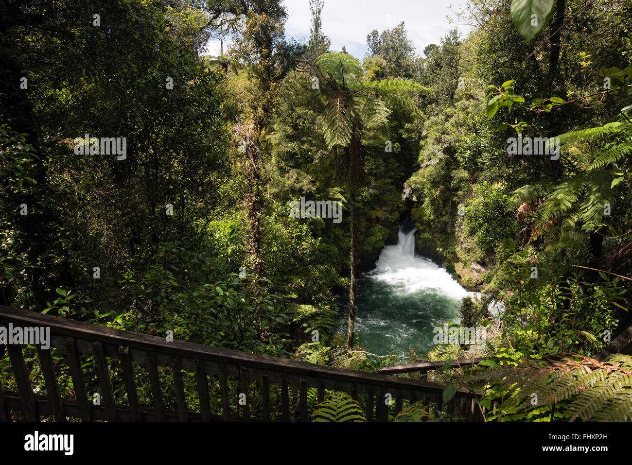 Okere fällt, Neuseeland Stockfoto