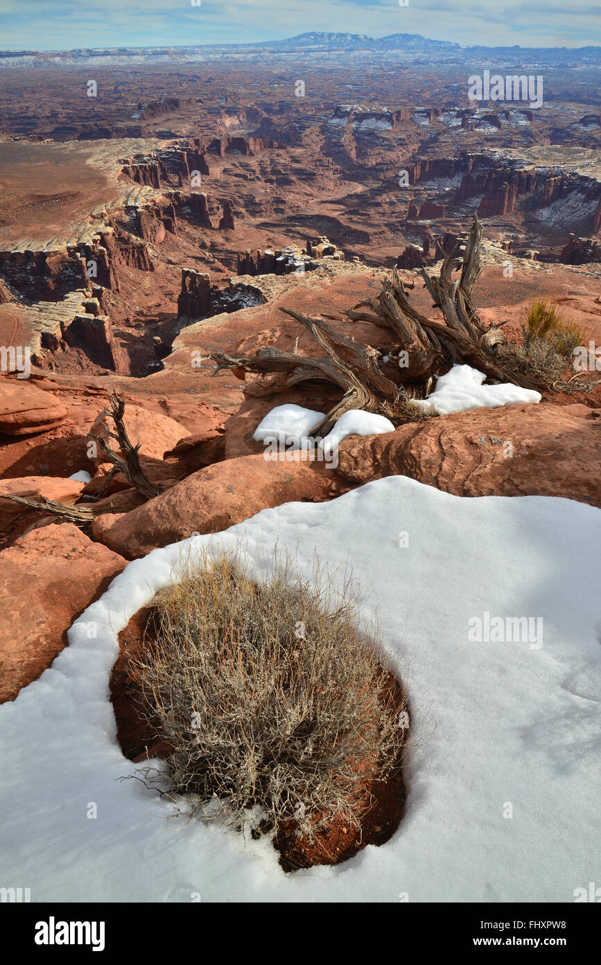 Blick entlang White Rim Overlook Trail auf der Insel des Bezirks Himmel im Canyonlands National Park in der Nähe von Moab, Utah Stockfoto