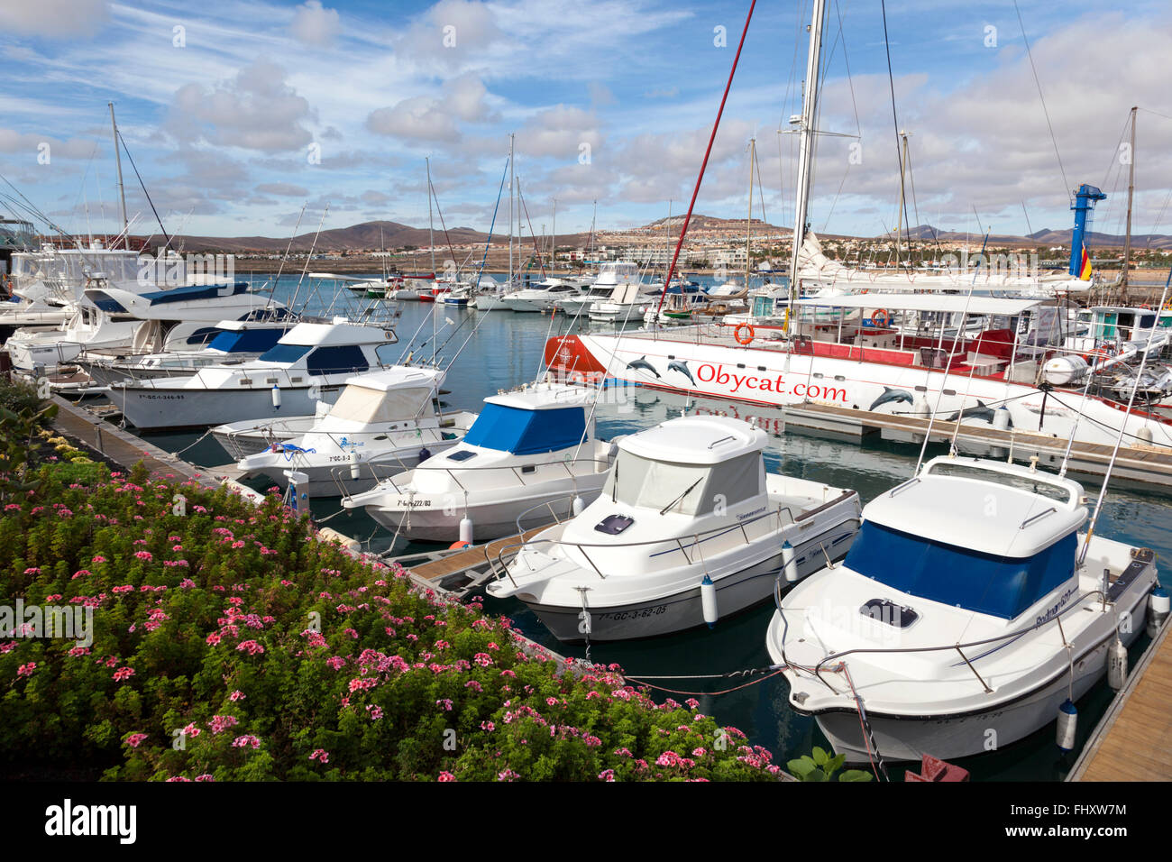 Sport Angelboote/Fischerboote im Hafen von Castillo Caleta de Fuste, Fuerteventura, Kanarische Inseln Stockfoto