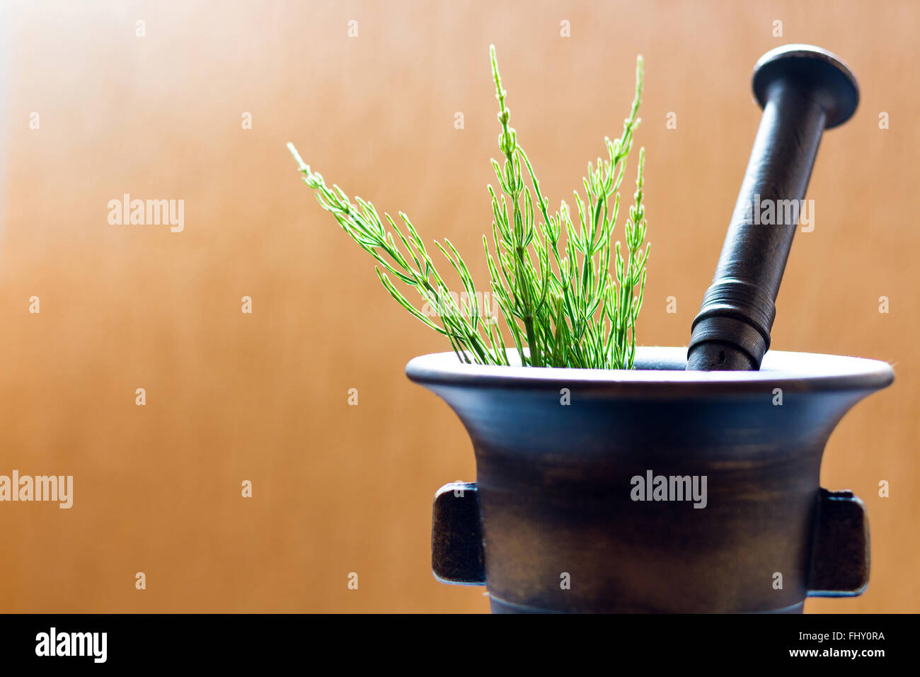 Eisen-Mörser und Stößel mit Kräutern Stockfoto