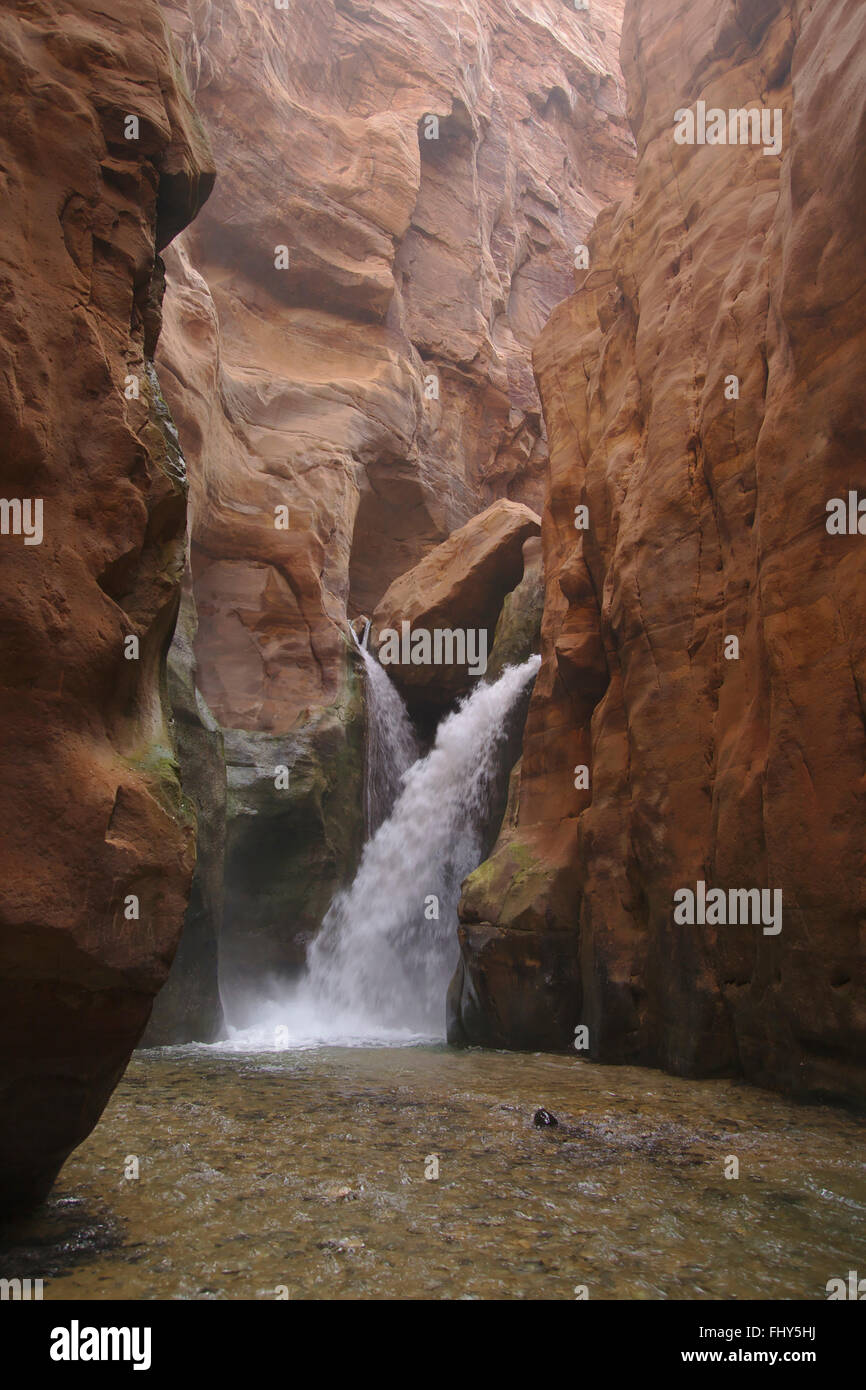 Wasserfall in einem Slotcanyon in Sandstein, Wadi Mujib Reserve, Jordanien Stockfoto