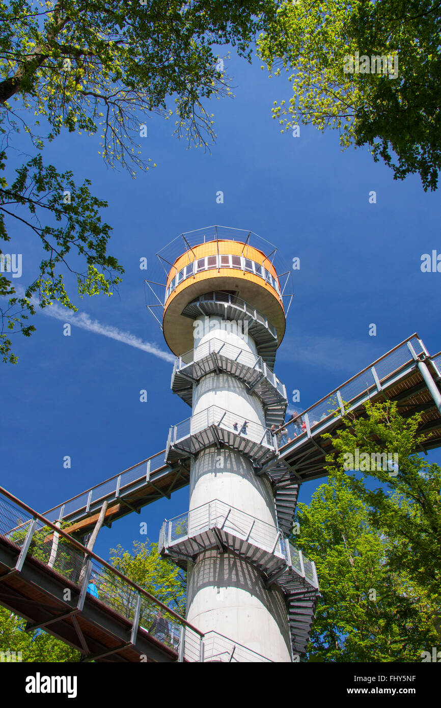 Turm des Baum-Top Trail / Turm des Baumkronenpfades / Baumwipfelpfad am Nationalpark Hainich, Thüringen, Deutschland Stockfoto