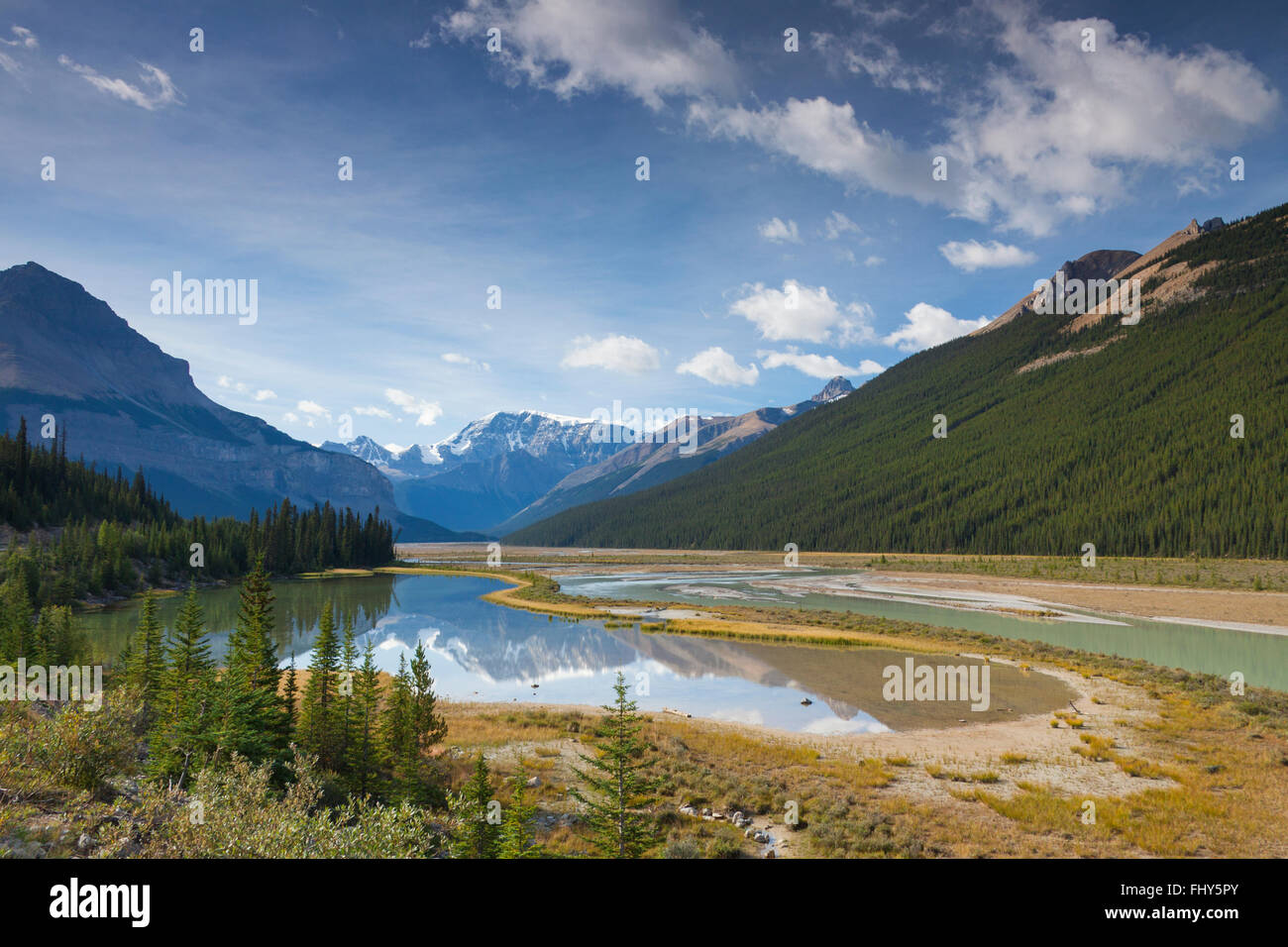 Mount Kitchener spiegelt sich in der Schönheit Creek Pool in der Nähe der Sunwapta River, Jasper Nationalpark, Alberta, Kanada Stockfoto