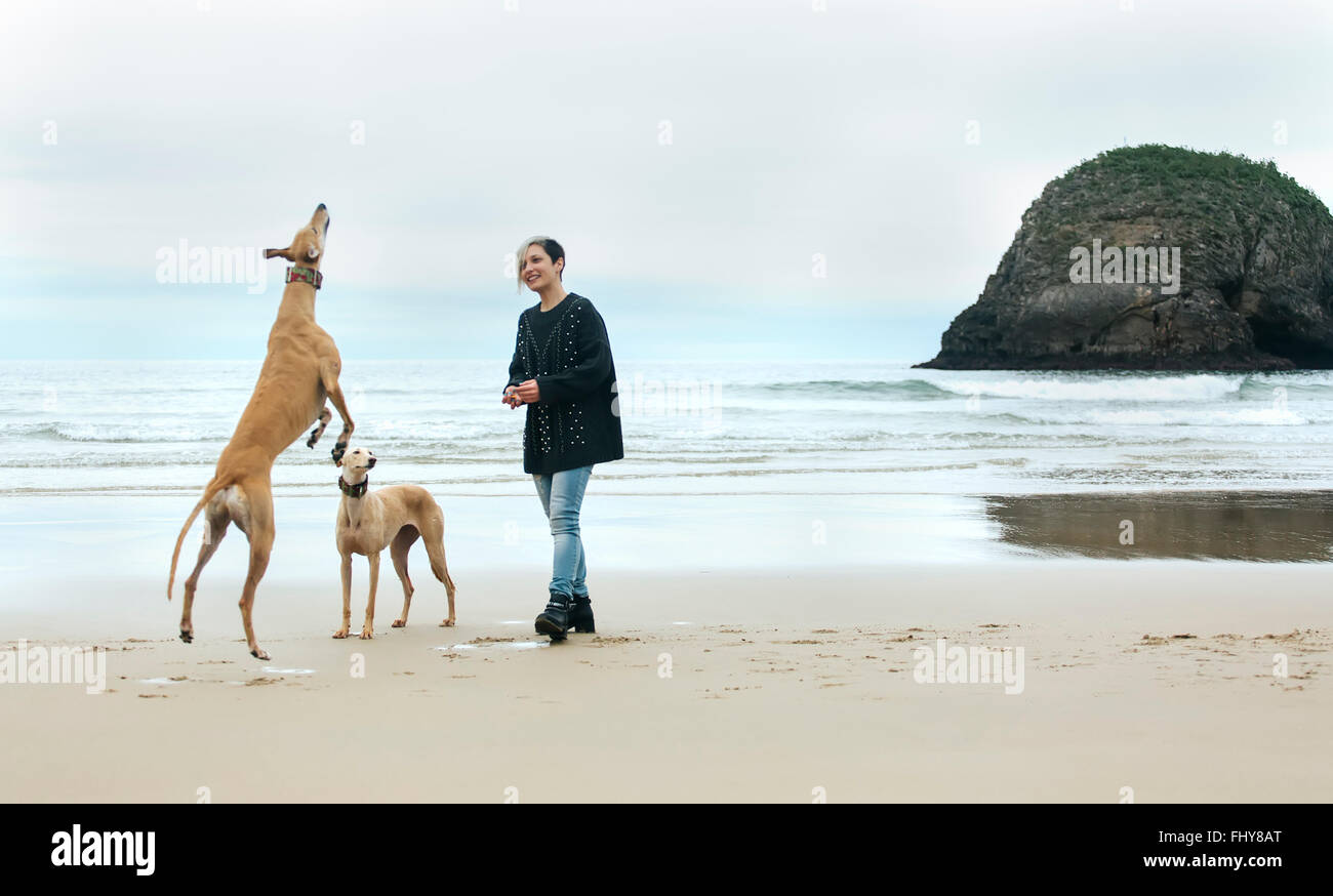 Spanien, Llanes, junge Frau spielt mit ihren Windhunden am Strand Stockfoto