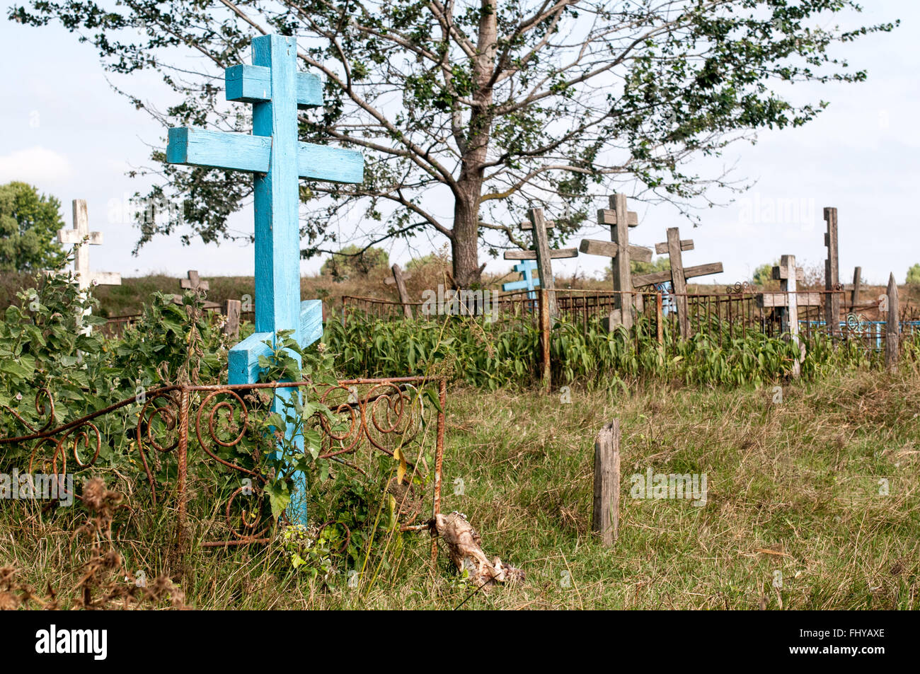 Alter Friedhof im Feld mit orthodoxen Kreuze Stockfoto