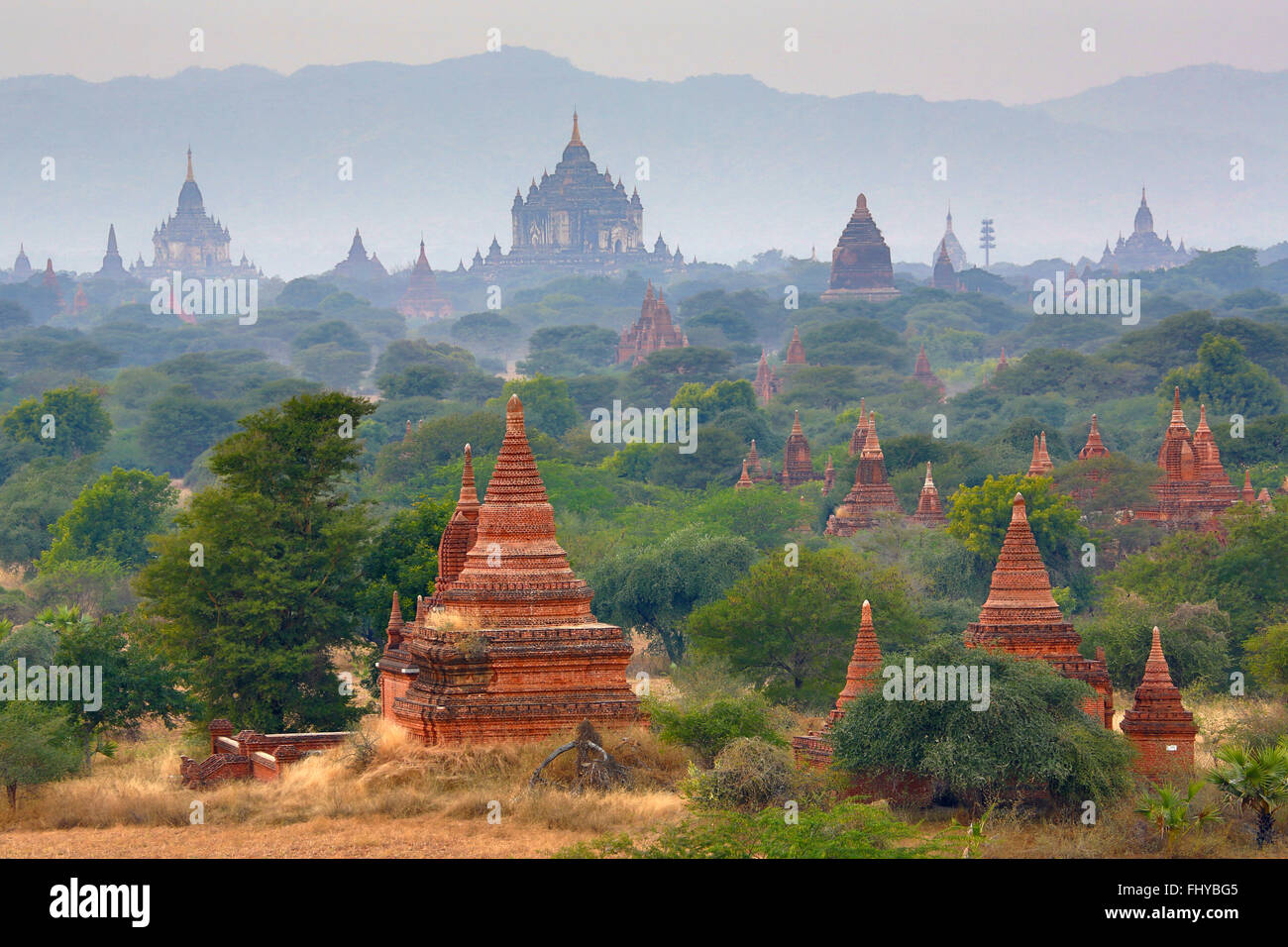 Tempel und Pagoden auf der zentralen Ebene von Bagan, Myanmar (Burma) Stockfoto