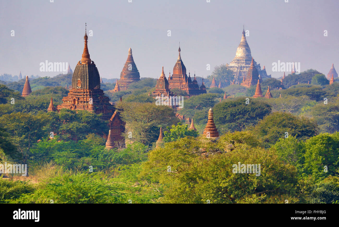 Tempel und Pagoden auf der zentralen Ebene von Bagan, Myanmar (Burma) Stockfoto