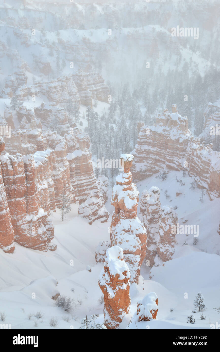 Ansicht von Thors Hammer und Navajo Loop Trail unterhalb Sunset Point und Rim Trail in Bryce-Canyon-Nationalpark im Südwesten von Utah Stockfoto