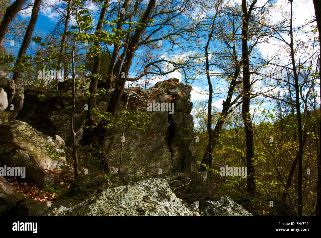 Einem Felsvorsprung auf dem Appalachian Trail. Stockfoto