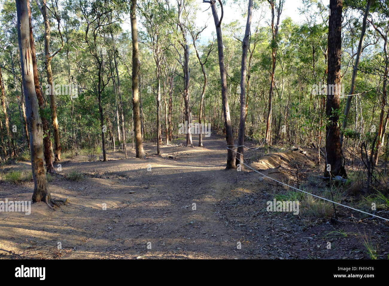 Australischen Buschland Stockfoto