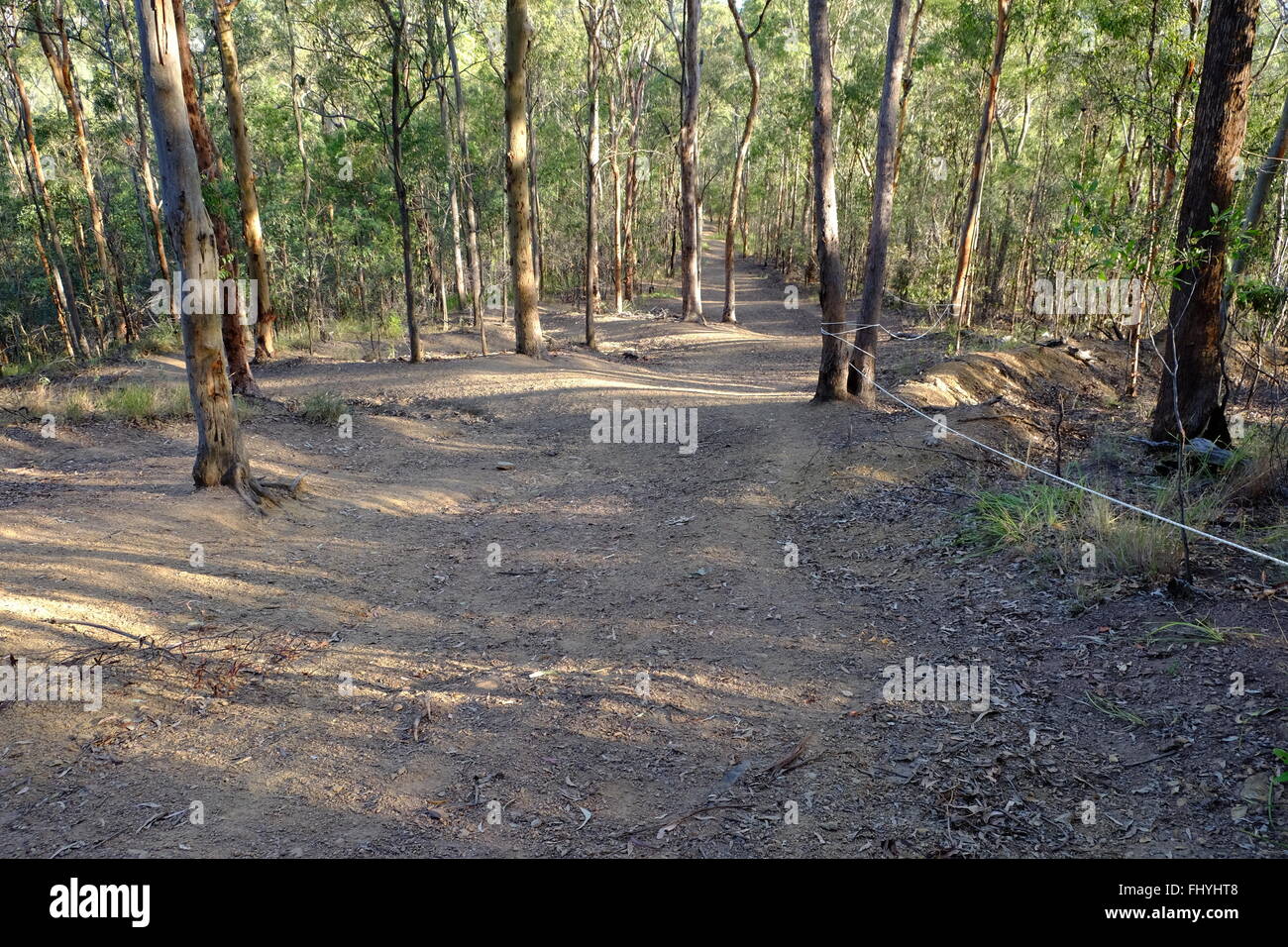 Australischen Buschland Stockfoto