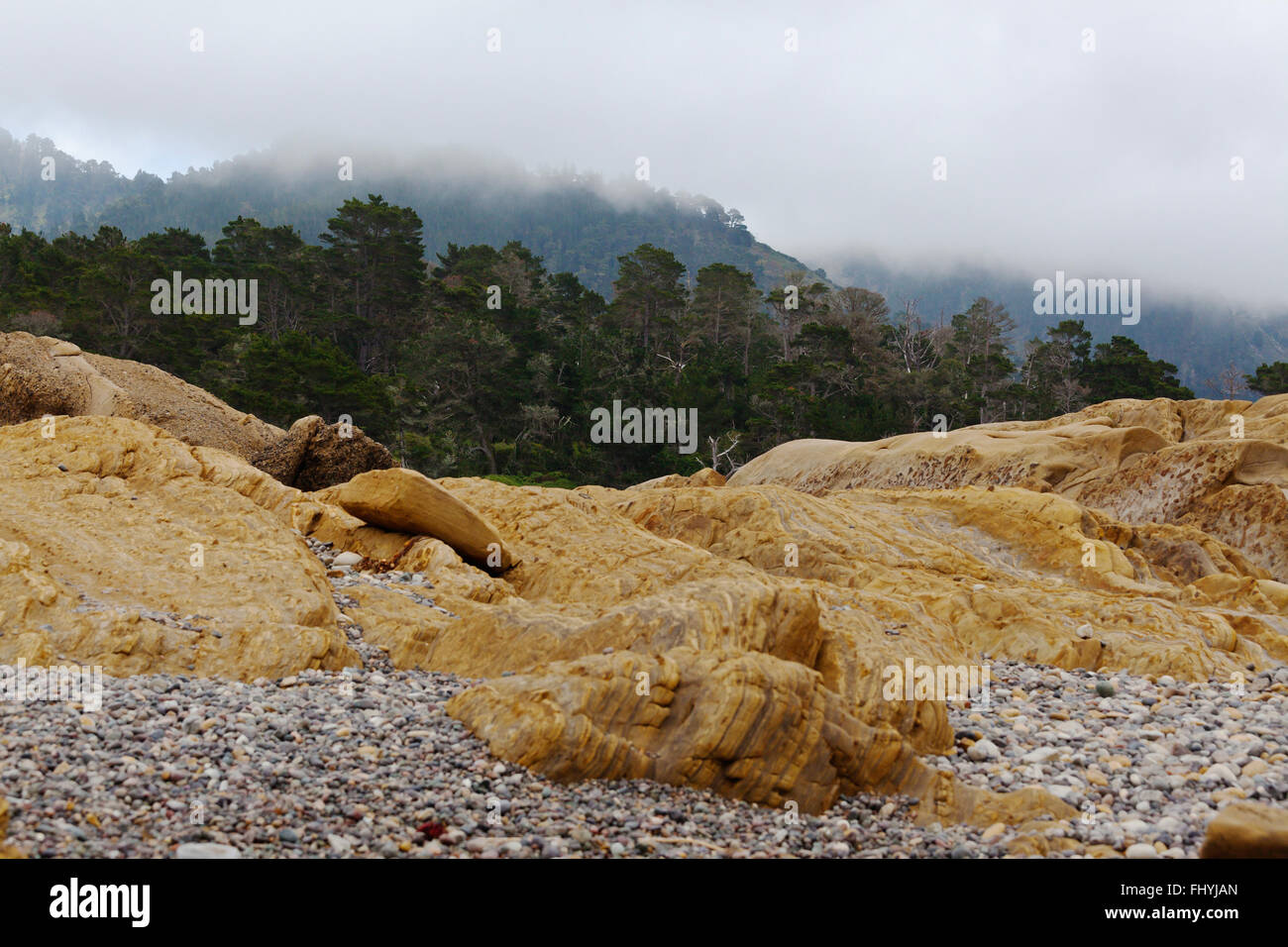 FELSFORMATIONEN an WESTON Strand und Kiefernwald MONTEREY - POINT LOBOS STATE PARK, Kalifornien Stockfoto