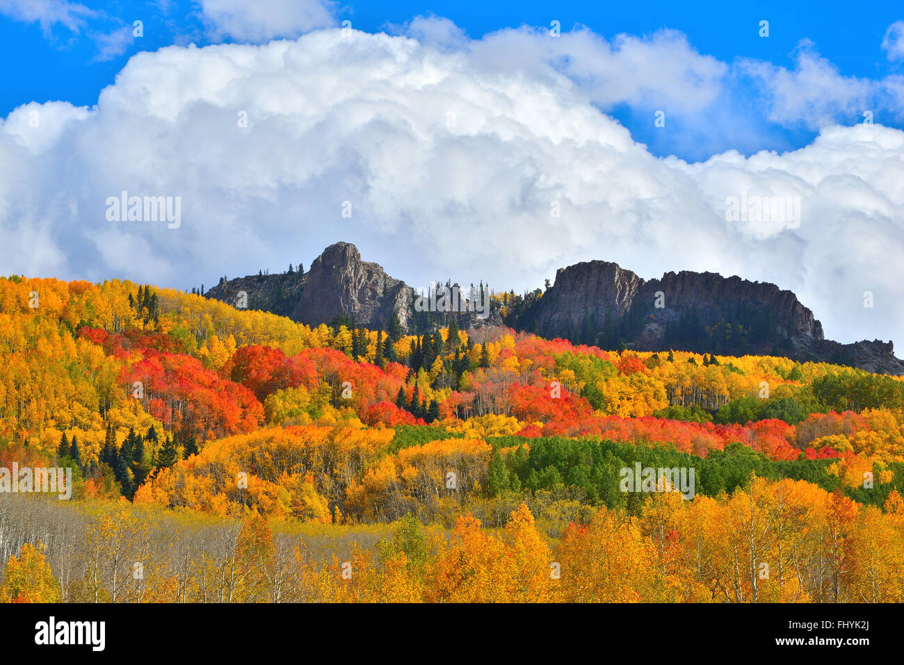Farben des Herbstes am Kebler Pass westlich von Crested Butte, Colorado Stockfoto