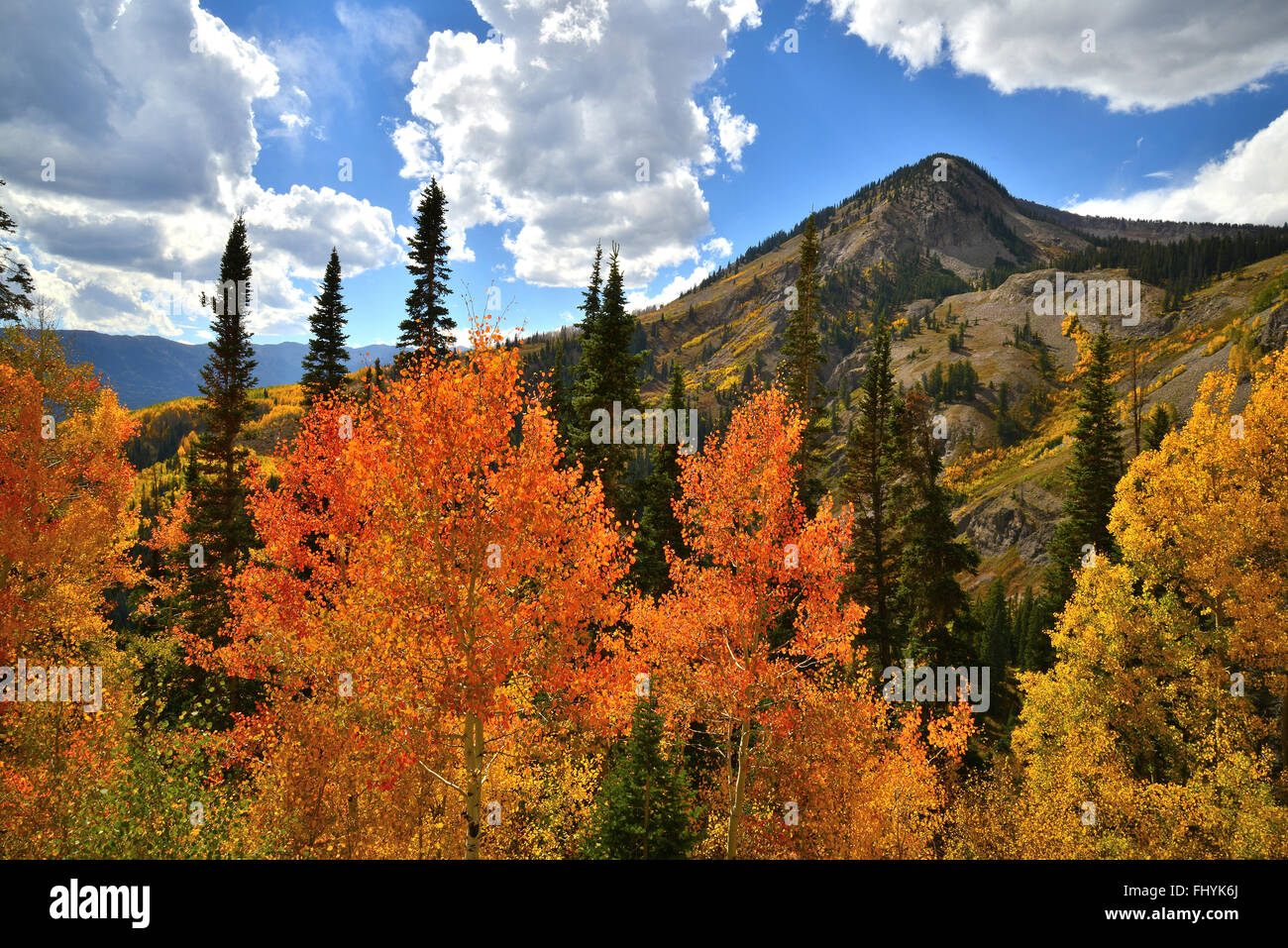 Farben des Herbstes entlang Wald Straße 730 am Ohio Pass in der Nähe von Crested Butte, Colorado Stockfoto